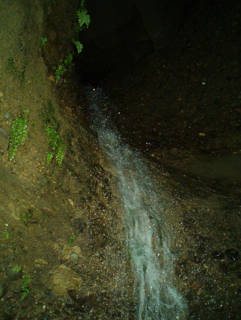 Cucc 126